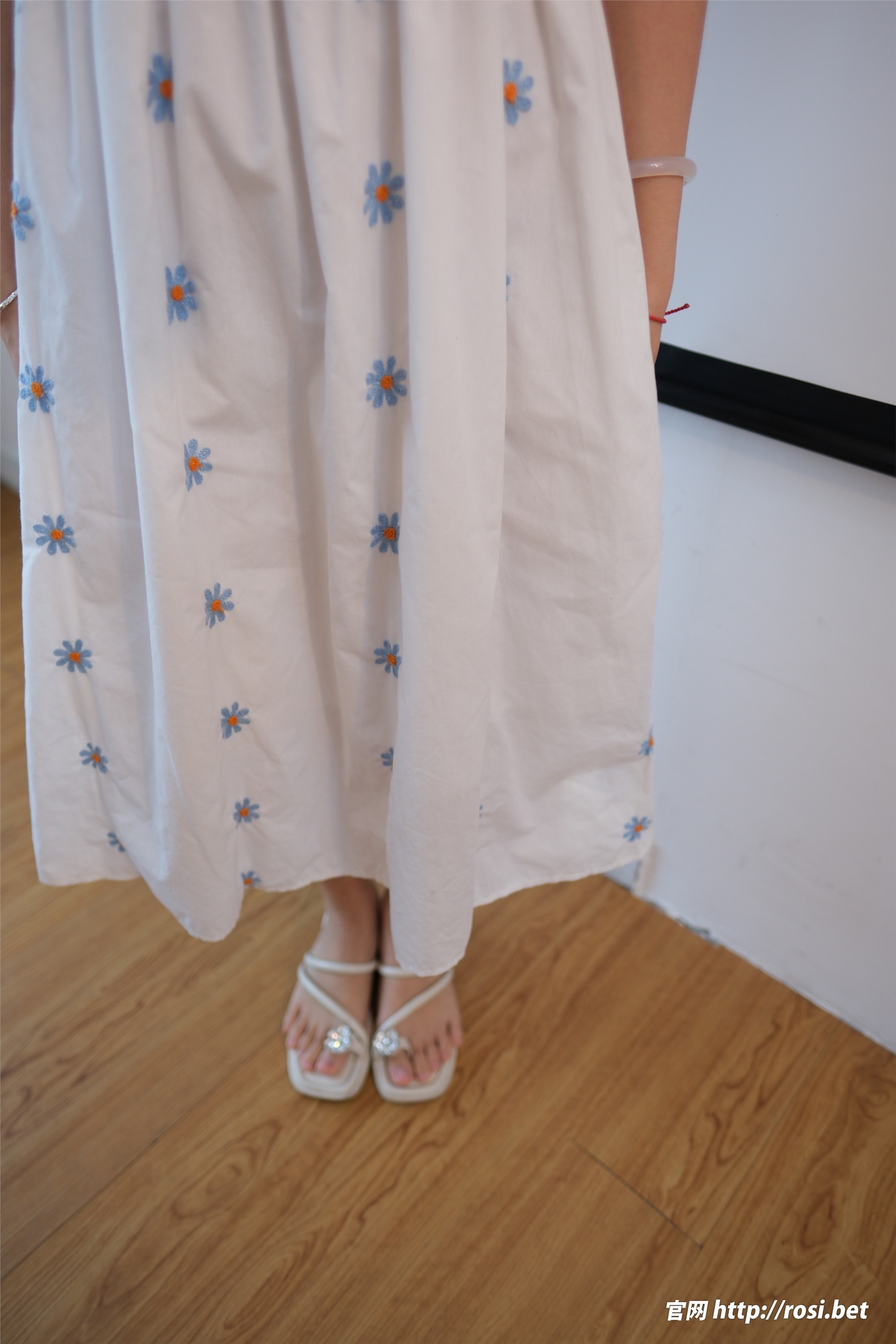 ROSI写真 2024.11.20 NO.4734